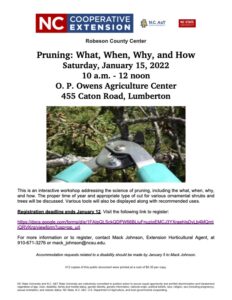 Cover photo for Pruning: What, When, Why, and How