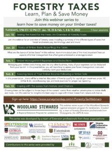 Cover photo for Forestry Taxes - Learn, Plan & Save Money