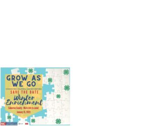 Cover photo for 4-H Winter Enrichment 2022!