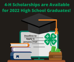 Flyer for 4-H Scholarships