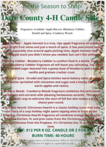 Cover photo for Holidays Aglow With Candlelight