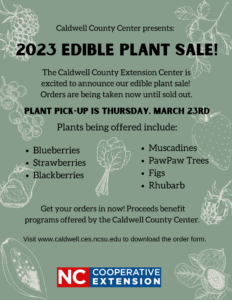 flyer for plant sale