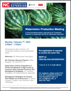 Watermelon meeting promotional flier