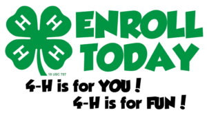 Enroll Now