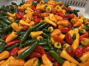 Cover photo for Orange County Master Gardener Volunteer Training Program 2026