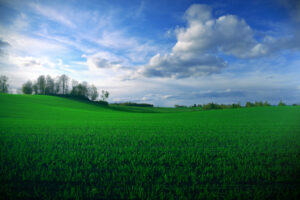 Picturesque Farmland