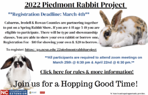 Flyer for Piedmont Rabbit Project