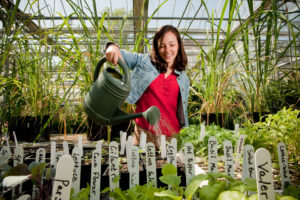 Watering Plants