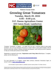 Tomato Workshop Information FLier
