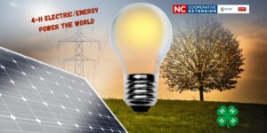 4-H Electric Energy