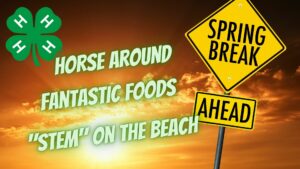 Horse Around Fantastic Foods