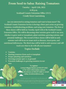 Cover photo for From Seed to Salsa: Raising Tomatoes