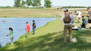 Spring Pond Management