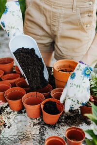 Potting plants