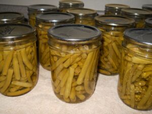 canned green beans