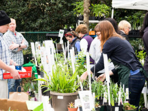 Cover photo for Durham County Extension Master Gardeners’ Backyard Treasures Plant Sale