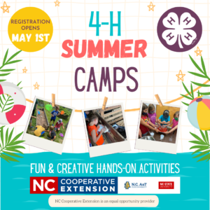 Cover photo for 2022 4-H Summer Fun