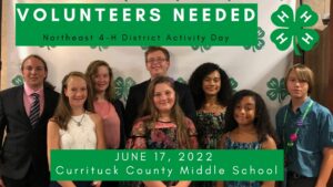 District Activity Day