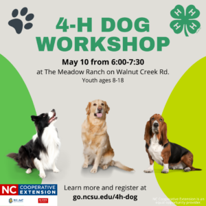 4-H Dog Workshop Flier