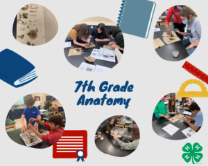 Cover photo for Middle School Enrichment Programs a Success