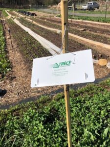 Cover photo for Gaston Grower Spotlight- April 2022