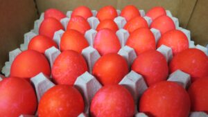 North Carolina eggs going to the White House for Easter
