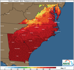 Cover photo for AWIS Weather Forecast: Increased Frost Threat Early Next Week