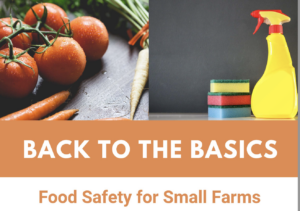 Food Safety flyer image with program title