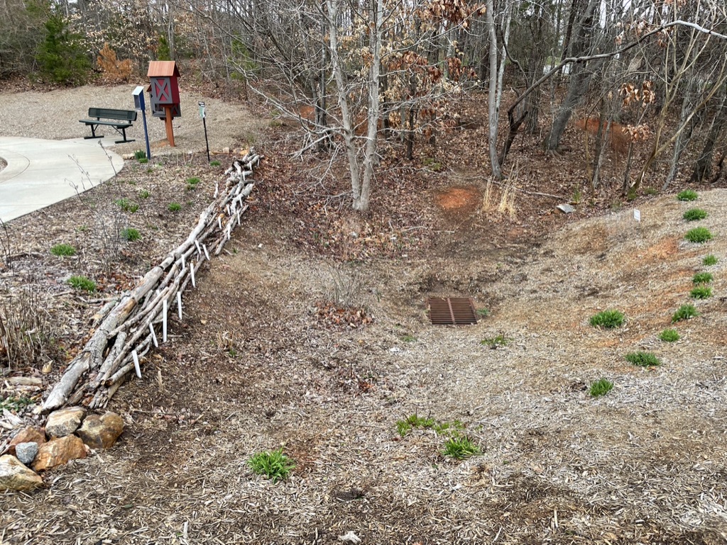 Pollinator Garden Rock Springs Nature Preserve N.C. Cooperative