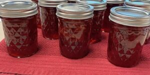 Cover photo for Let's Make Strawberry Jam