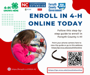 Three logos are across the top, the 4-H logo, NC Cooperative Extension logo, and Forsyth County Government logo. Text reads, "Enroll in 4-H Online Today, Follow this step-by-step guide to enroll in Forsyth County 4-H! Point your phone camera here to view the guide or go to this address: https://go.ncsu.edu/youth4honline". Directions to point your phone indicate towards a QR code that leads to the same webpage linked in the text