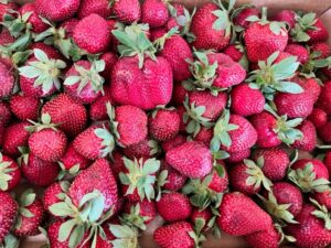 Strawberries