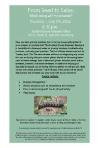 Cover photo for From Seed to Salsa: What's Wrong With My Tomatoes?