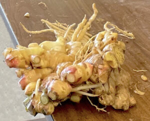 Cover photo for Small Farms News - June 2022