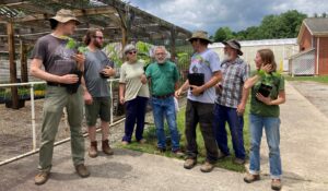 group of people holding pawpaw plants in pots