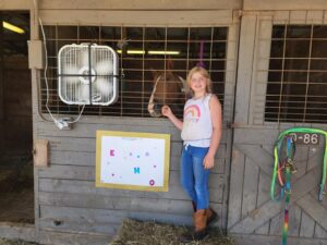 Cover photo for 2022 West District 4-H Horsemanship Clinic in the Books