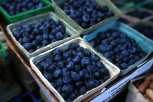 NC State Extension blueberries