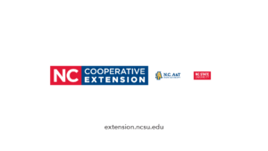 Cover photo for Hydroponic Gardening