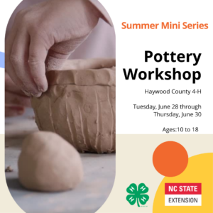 Cover photo for 4-H Pottery Mini-Series