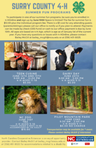 Summer Fun Flier