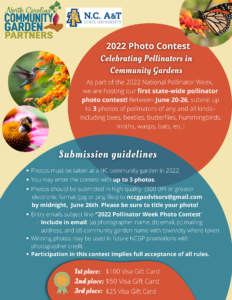 Cover photo for Pollinator Photography Contest Sponsored by NC Community Garden Partners and NC A&T University