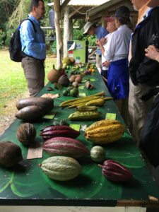 table with a variety of tropical fruits