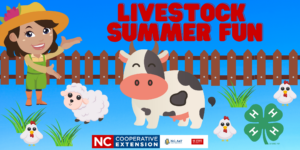 Cover photo for 4-H Summer Fun - Livestock - Ages 8+