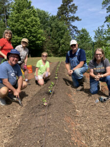 Cover photo for Join a Club!