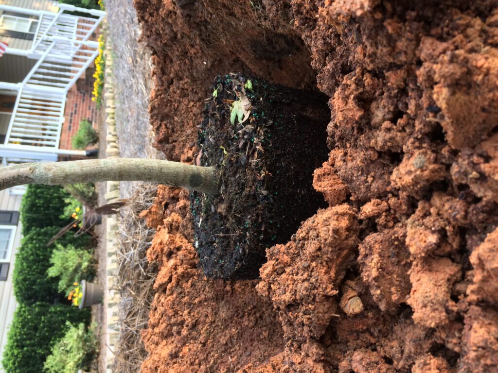 Plant Health Alert Improving Clay Soils for Better Gardens N.C