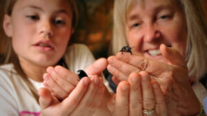 Cover photo for 4-H Buggin' Out Camp: August 10-11