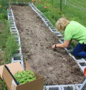 Cover photo for Local Extension Master Gardeners Participate in Research Trial