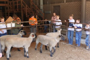 Cover photo for Livestock Judging Clinic