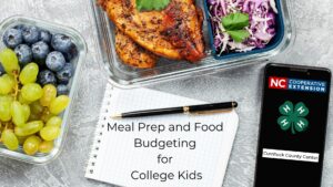 Meal Prep and Food Budgeting for College Kids