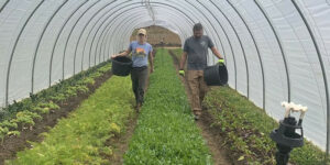 greenhouse